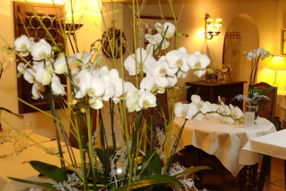 Auberge Saint Laurent Sierentz Exteriör bild
